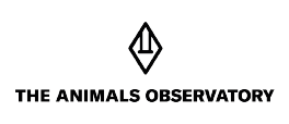 Logo The Animals Observatory
