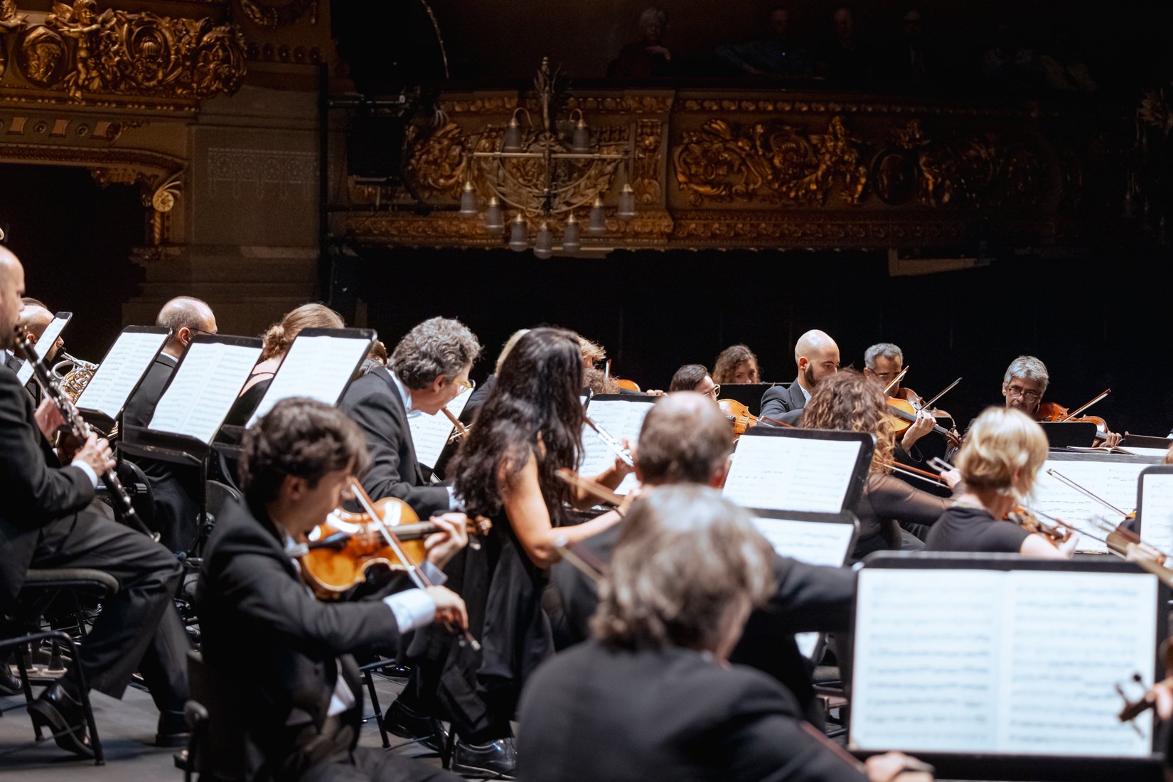 Orquestra Simfònica del Gran Teatre del Liceu (© A. Bofill)