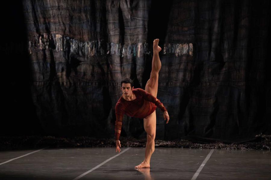 Le Ballet de l'Opéra national du Capitole