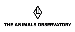 Logo The Animals Observatory